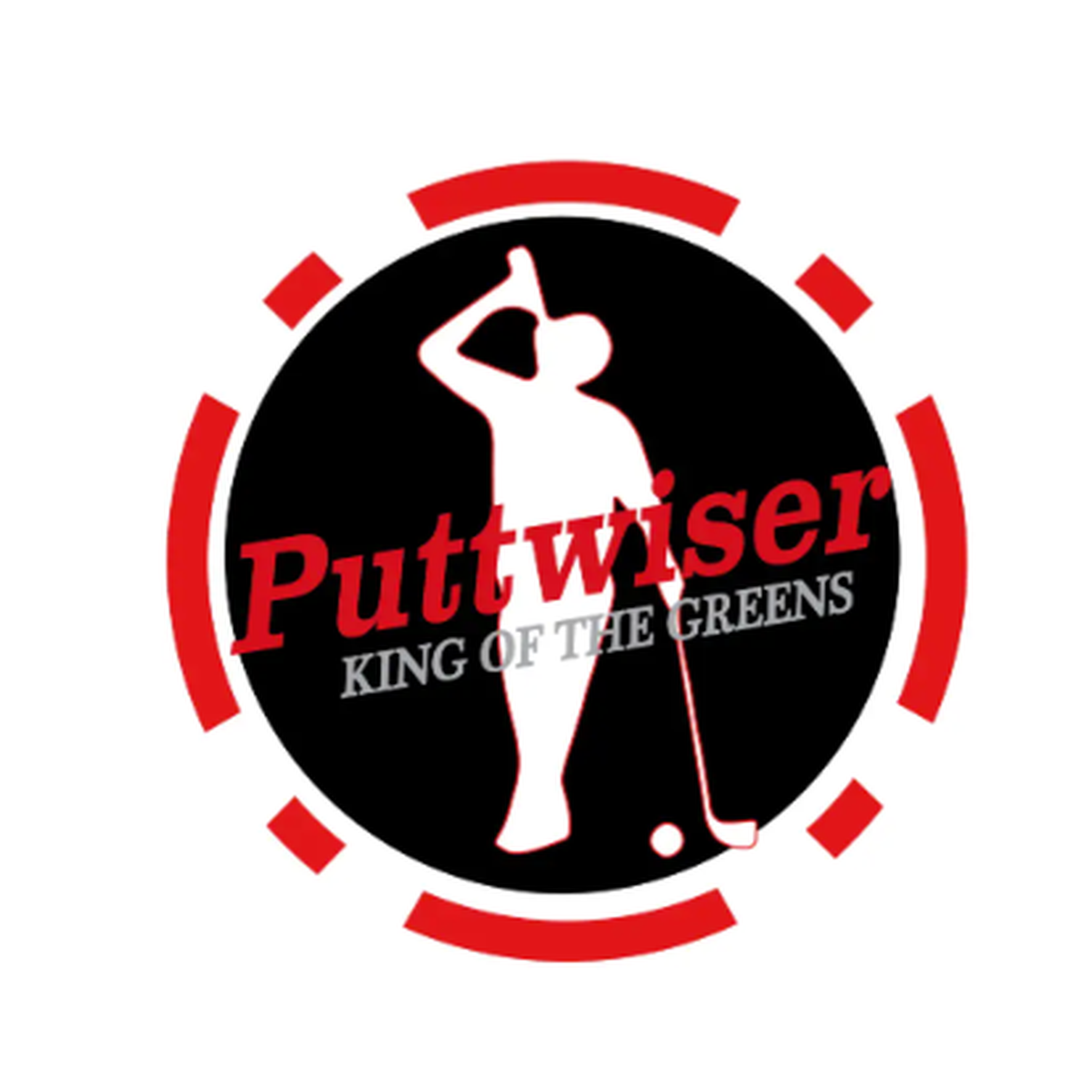 NEW! PUTTWISER CHIP